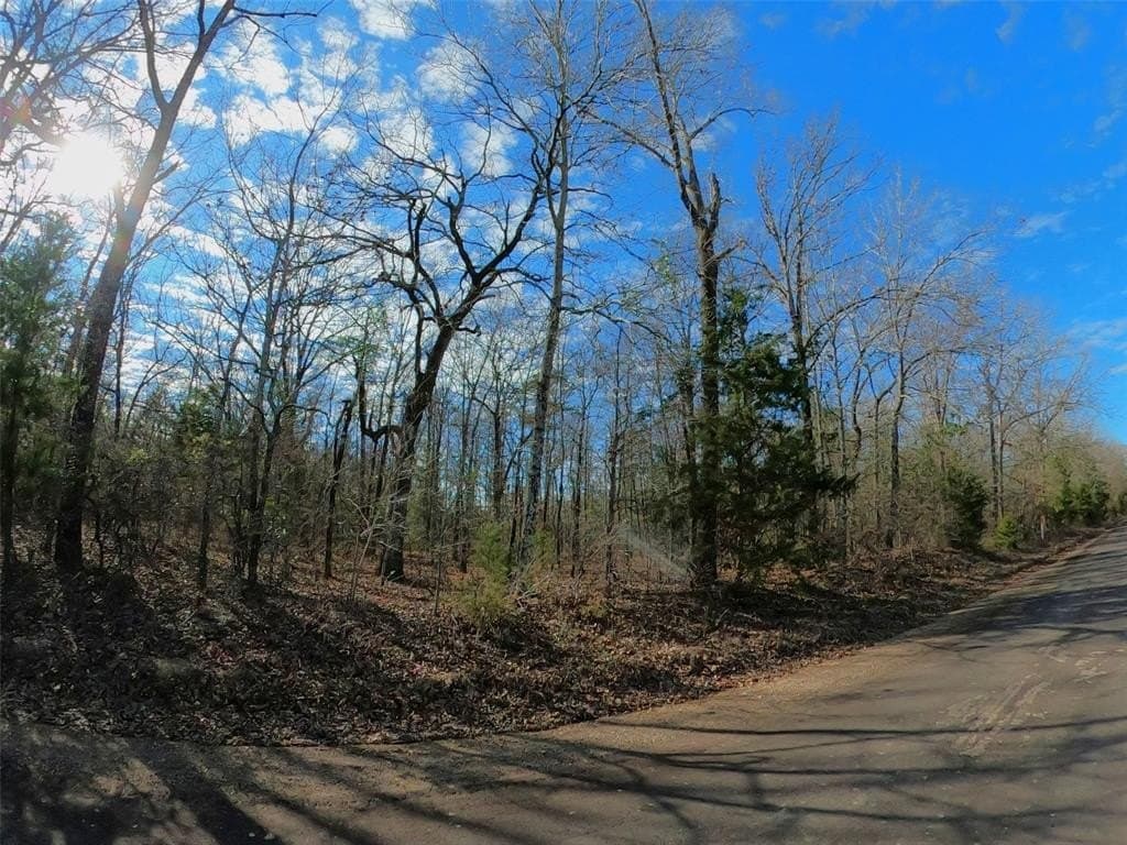 10.35 acres in Bowie County - photo 17
