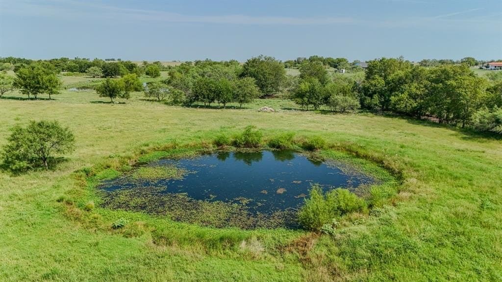 98.82 acres in Navarro County - photo 34