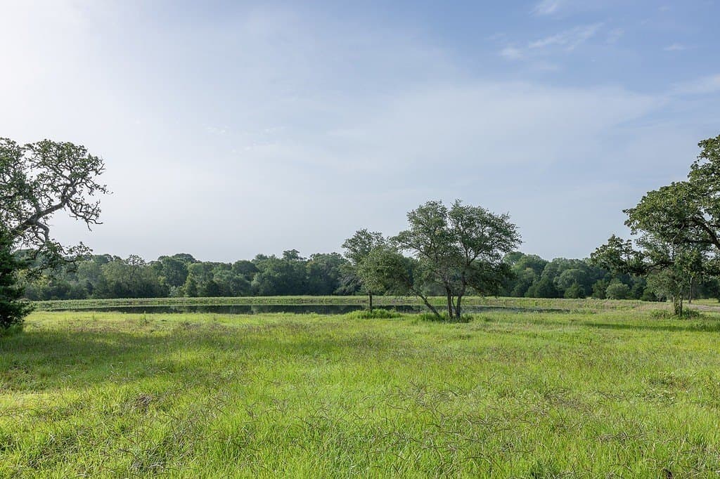 30 acres in Fayette County - photo 4
