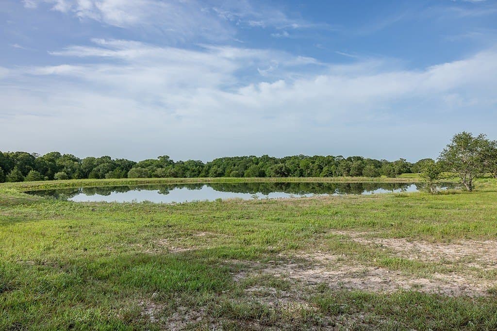30 acres in Fayette County - photo 6