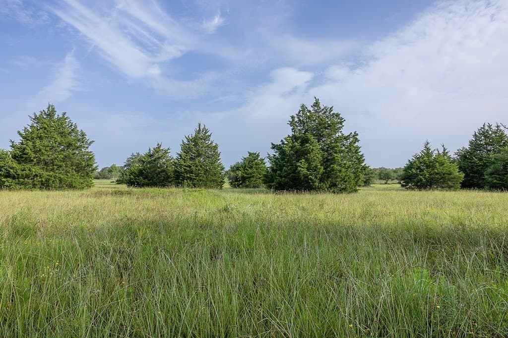 30 acres in Fayette County - photo 12