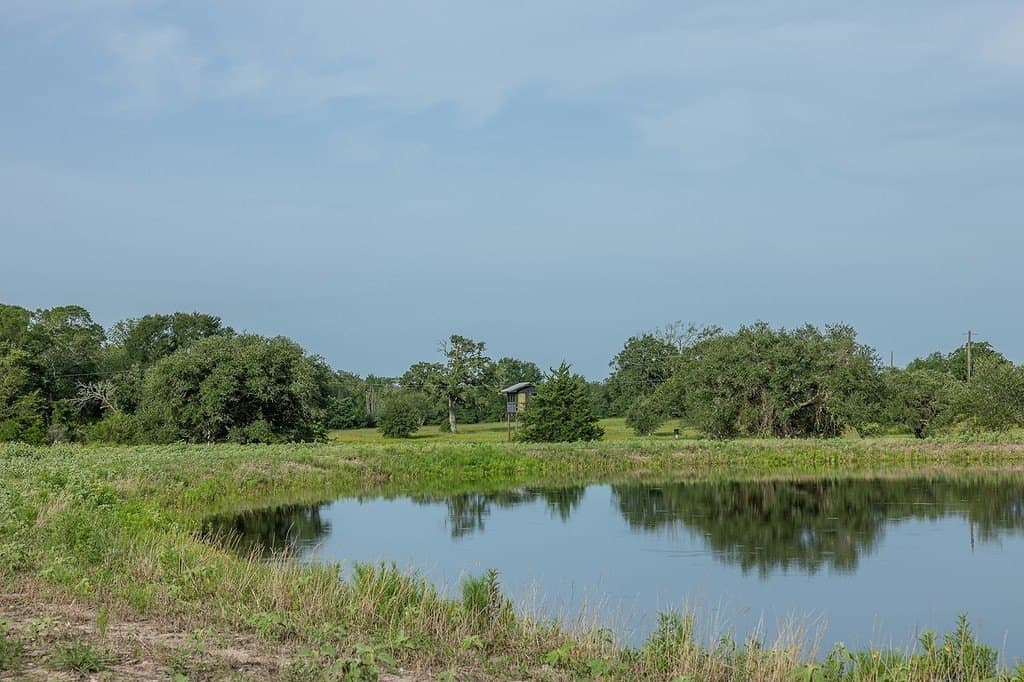 30 acres in Fayette County - photo 8