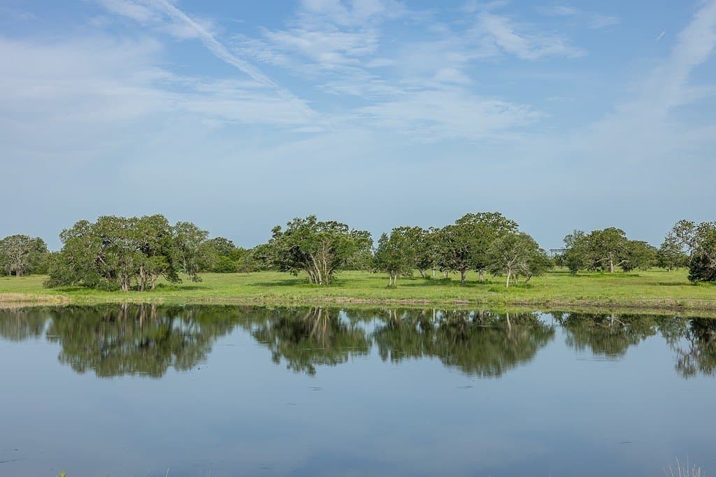 30 acres in Fayette County - photo 9
