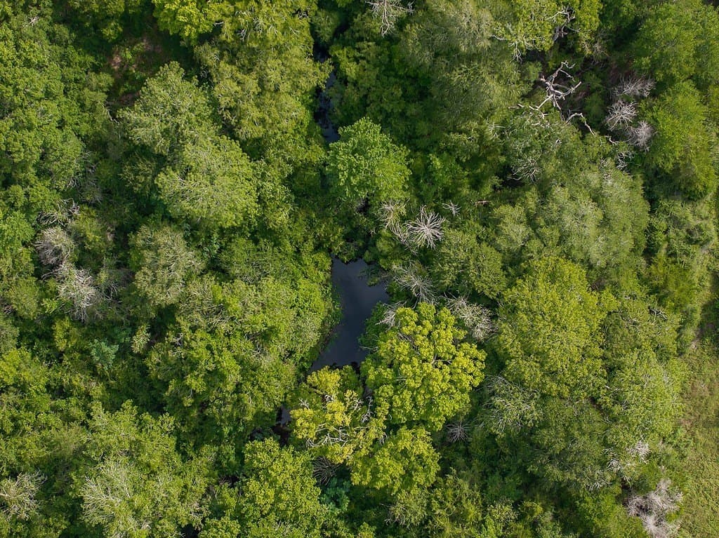30 acres in Fayette County - photo 21