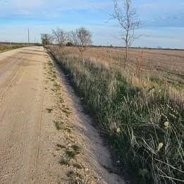 12 acres in Hamilton County - photo 2