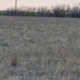 12 acres in Hamilton County - photo 4