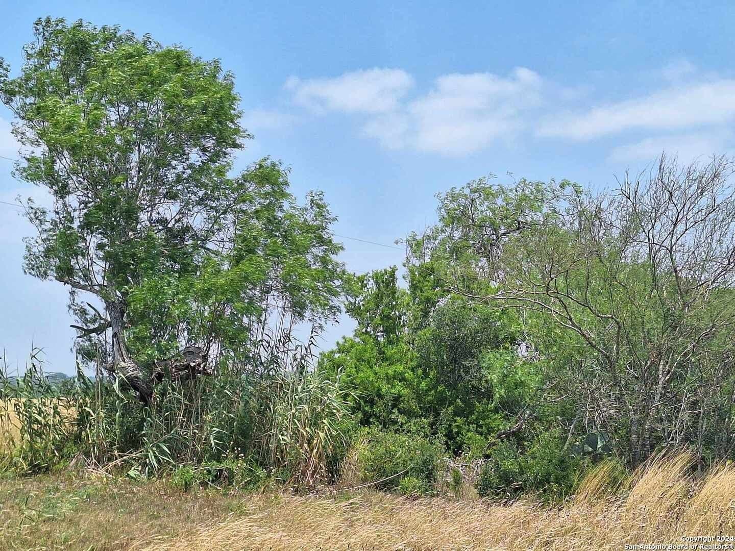21.3 acres in Karnes County - photo 5
