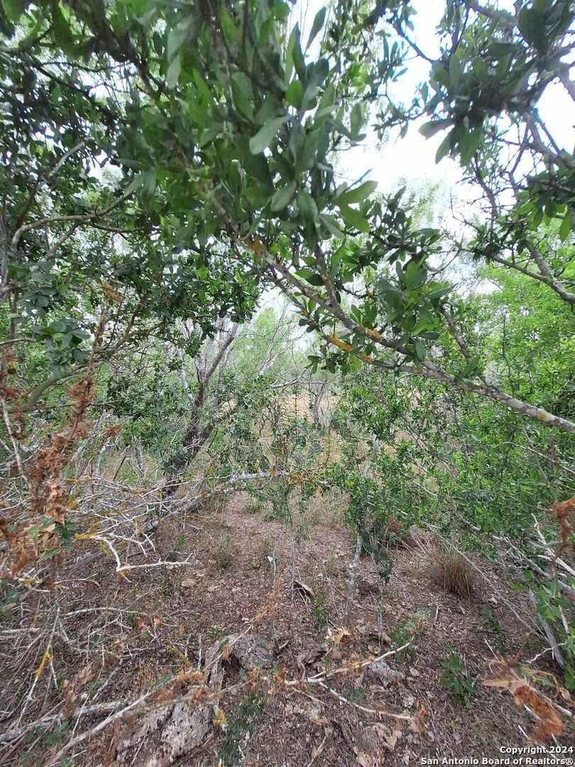 21.3 acres in Karnes County - photo 3