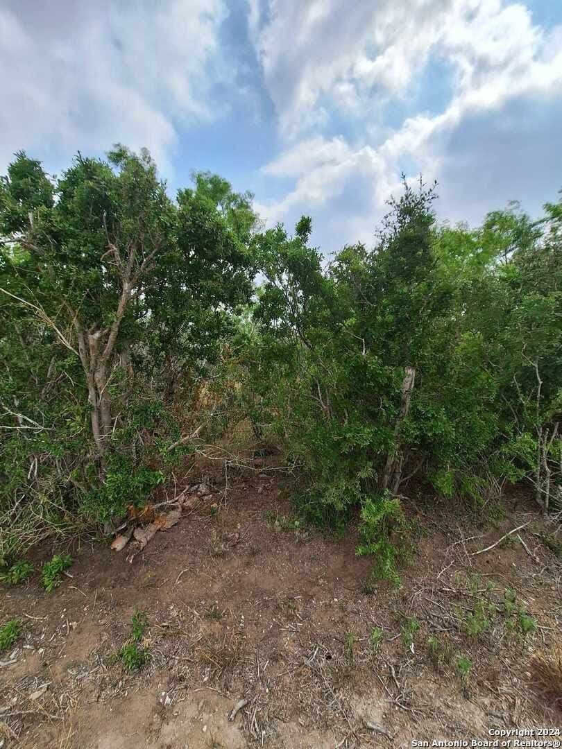 21.3 acres in Karnes County - photo 2