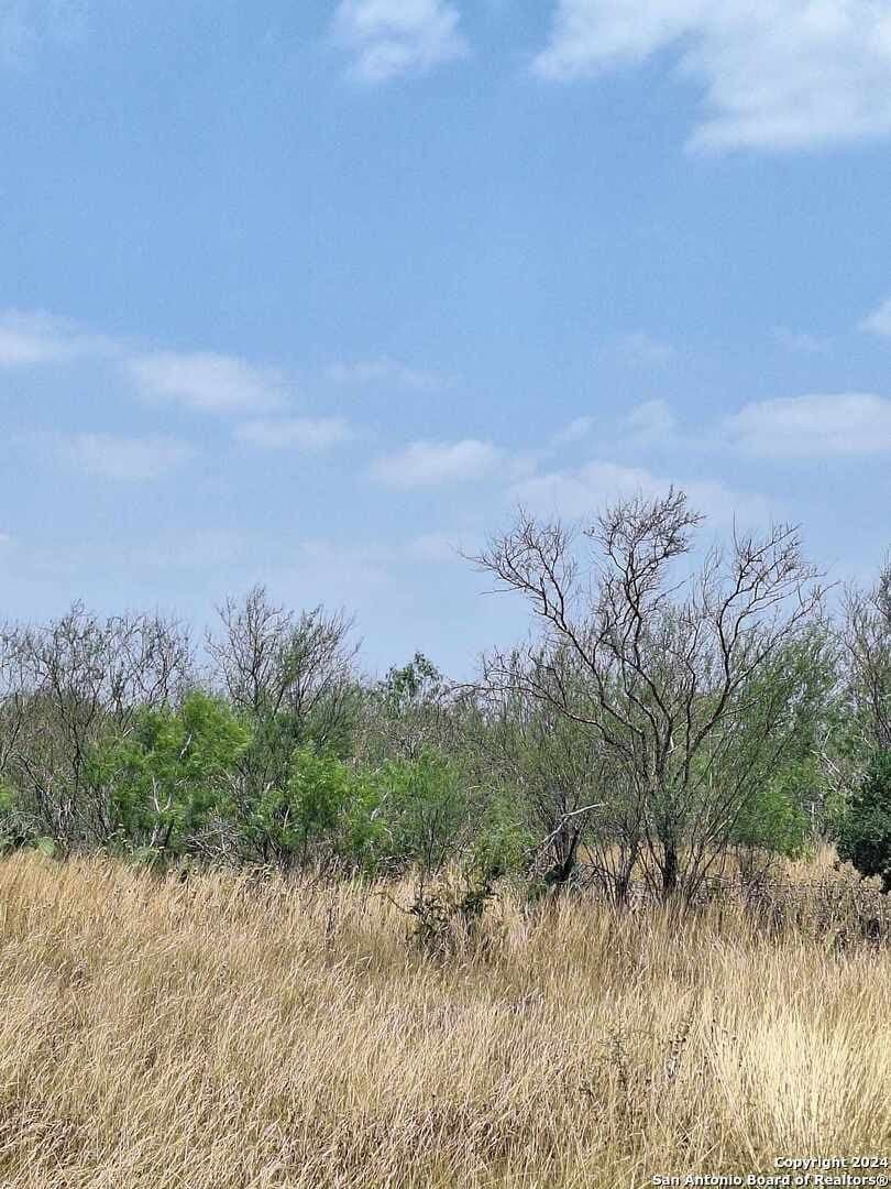 21.3 acres in Karnes County - photo 8
