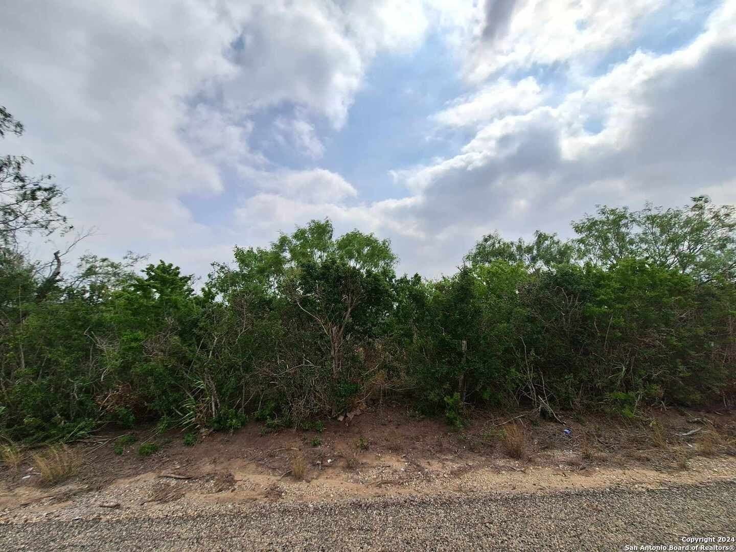 21.3 acres in Karnes County - photo 10