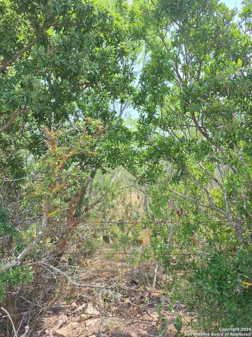 21.3 acres in Karnes County - photo 4