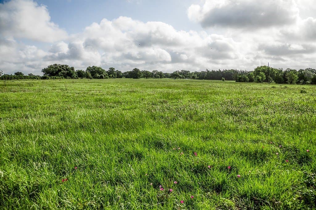 4.71 acres in Fayette County - photo 14
