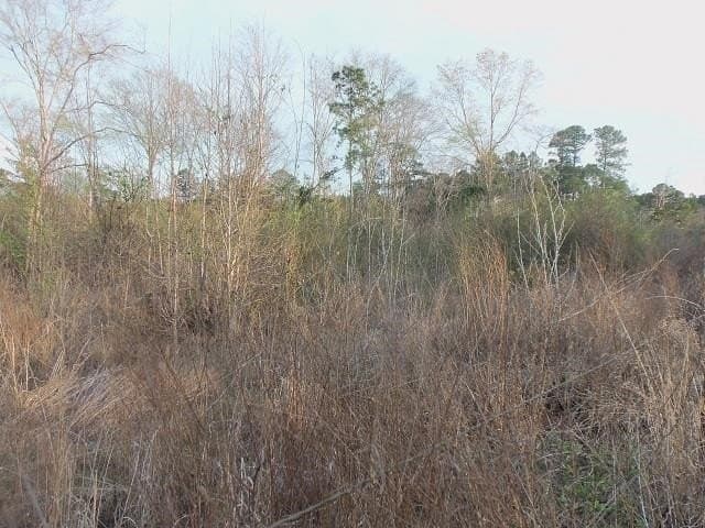 3.5 acres in Rusk County - photo 8