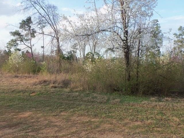 3.5 acres in Rusk County - photo 5