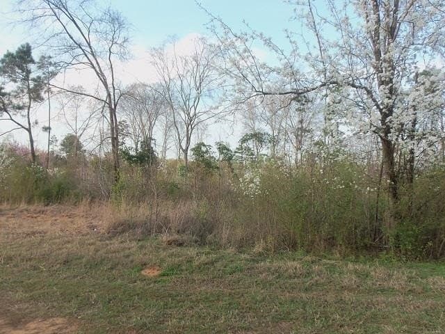 3.5 acres in Rusk County - photo 6
