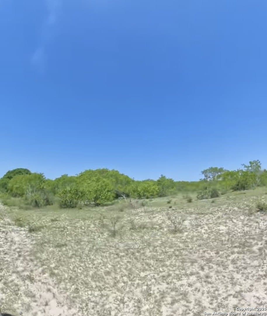 20 acres in Karnes County - photo 3