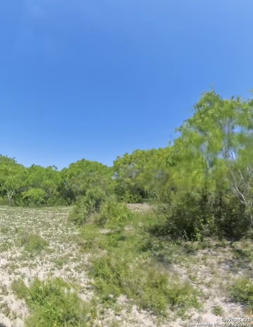 20 acres in Karnes County - photo 4