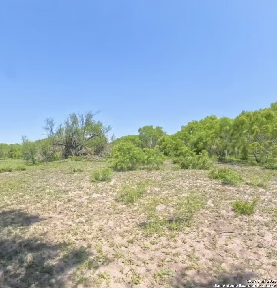 20 acres in Karnes County - photo 9
