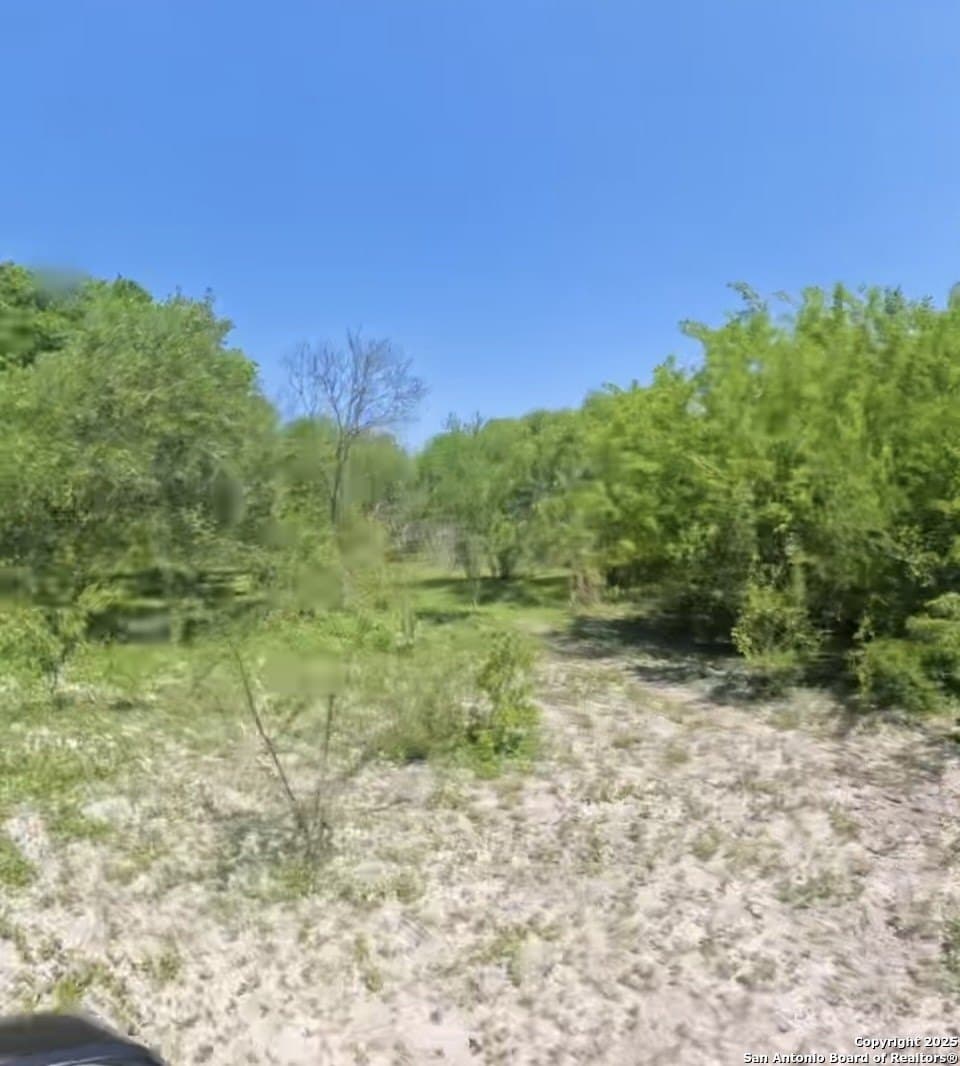 20 acres in Karnes County - photo 6