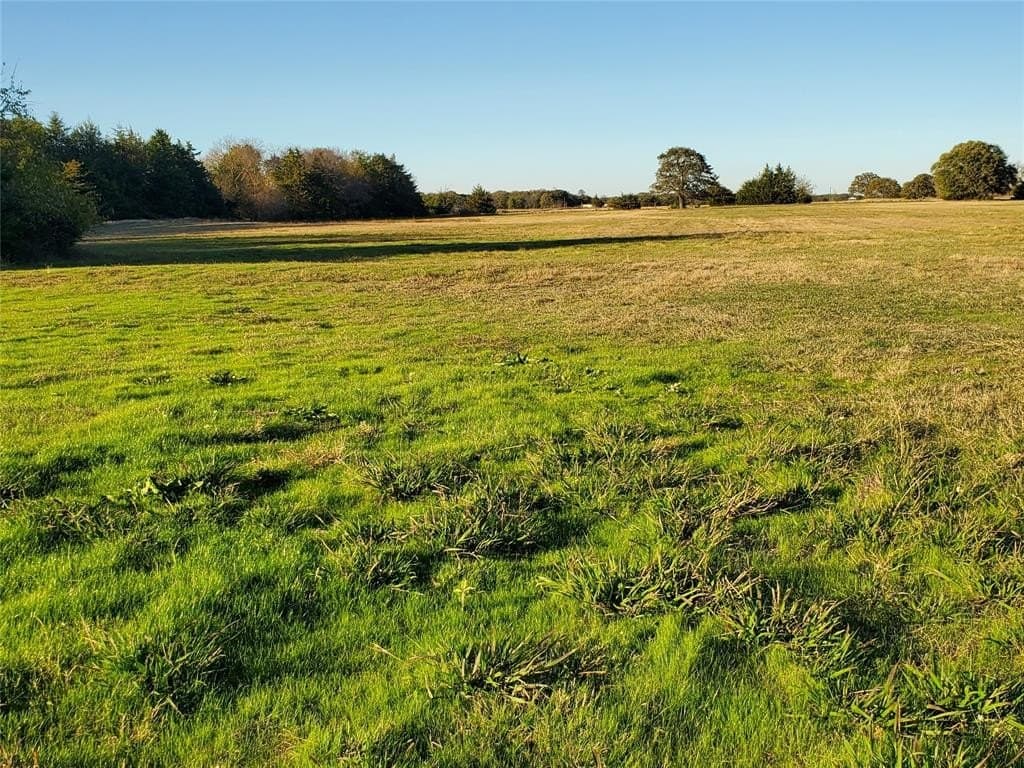 24.33 acres in Fannin County - photo 6