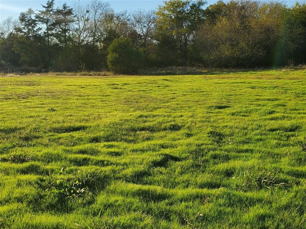 24.33 acres in Fannin County - photo 7