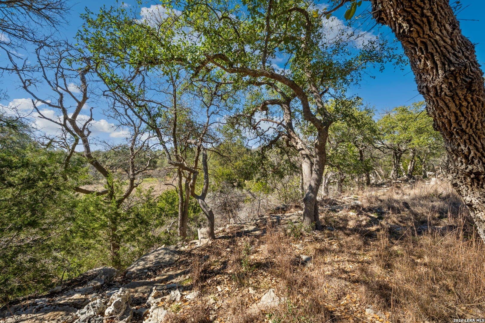 1.08 acres in Comal County - photo 6