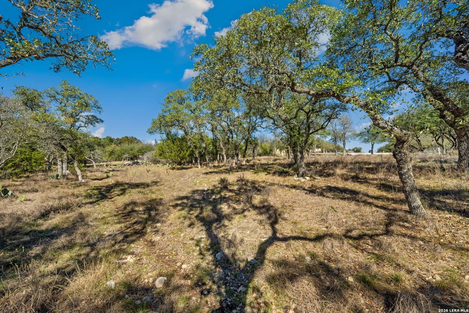 1.08 acres in Comal County - photo 10
