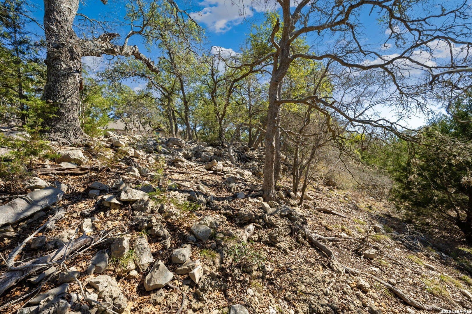 1.08 acres in Comal County - photo 5