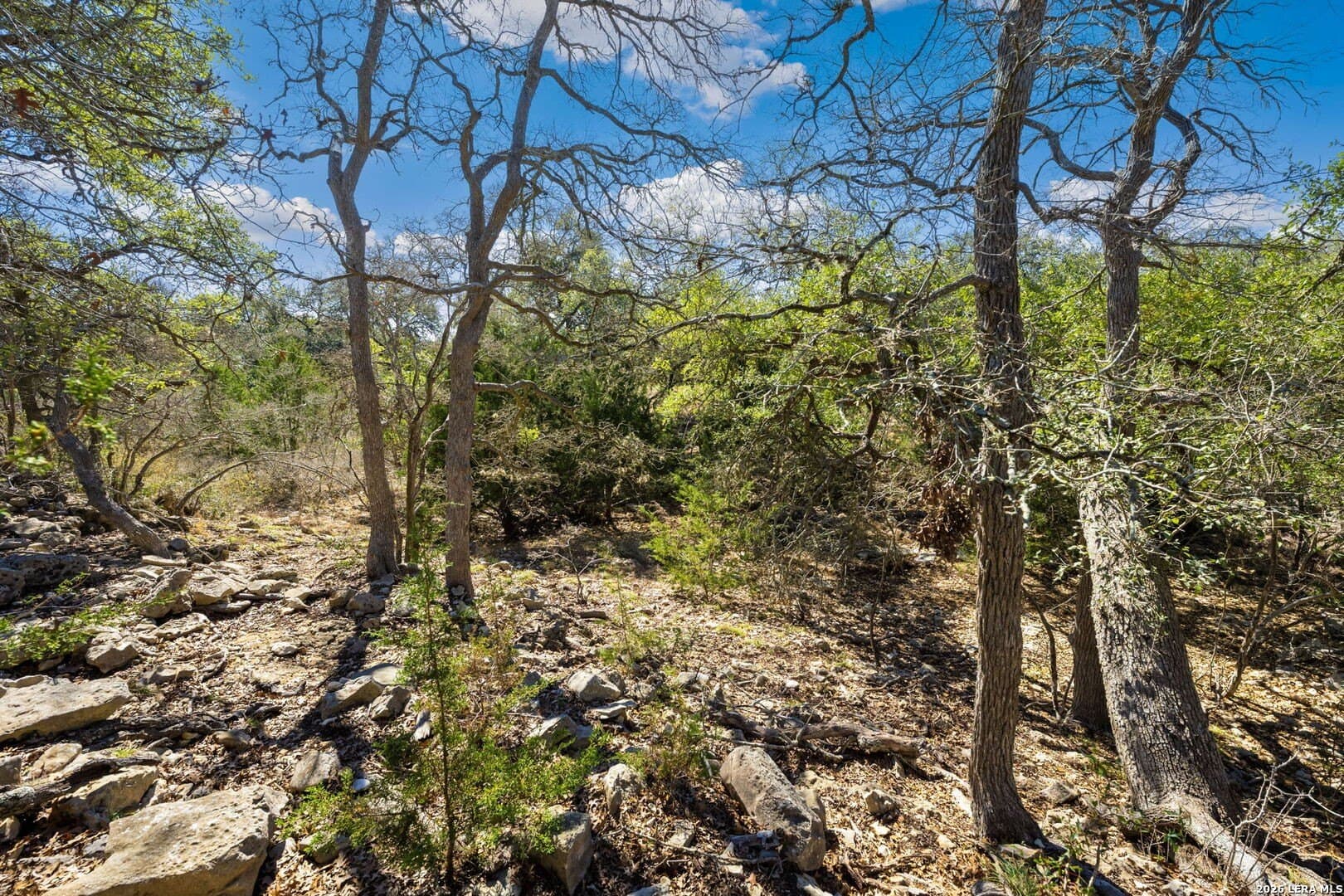 1.08 acres in Comal County - photo 4