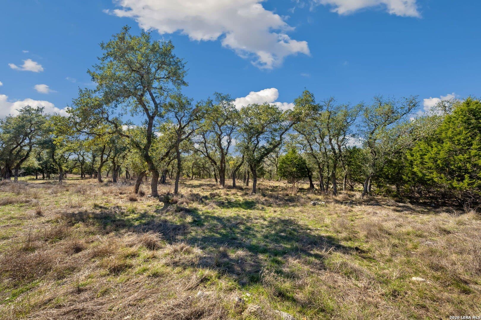 1.08 acres in Comal County - photo 8