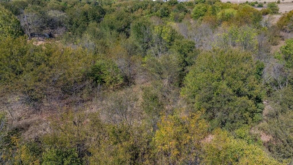 53.93 acres in Cooke County - photo 19