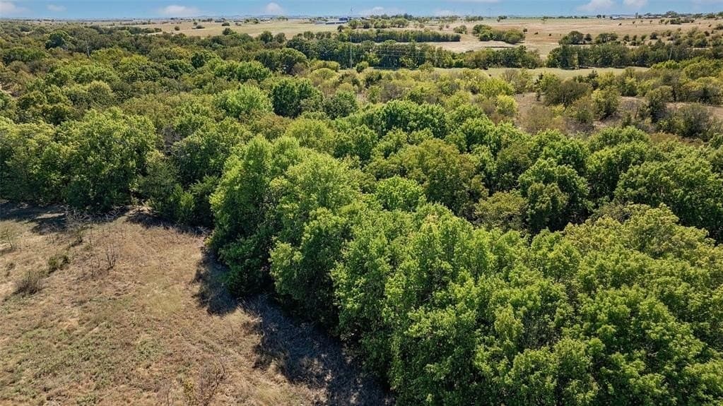 53.93 acres in Cooke County - photo 6