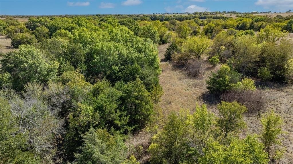 53.93 acres in Cooke County - photo 16