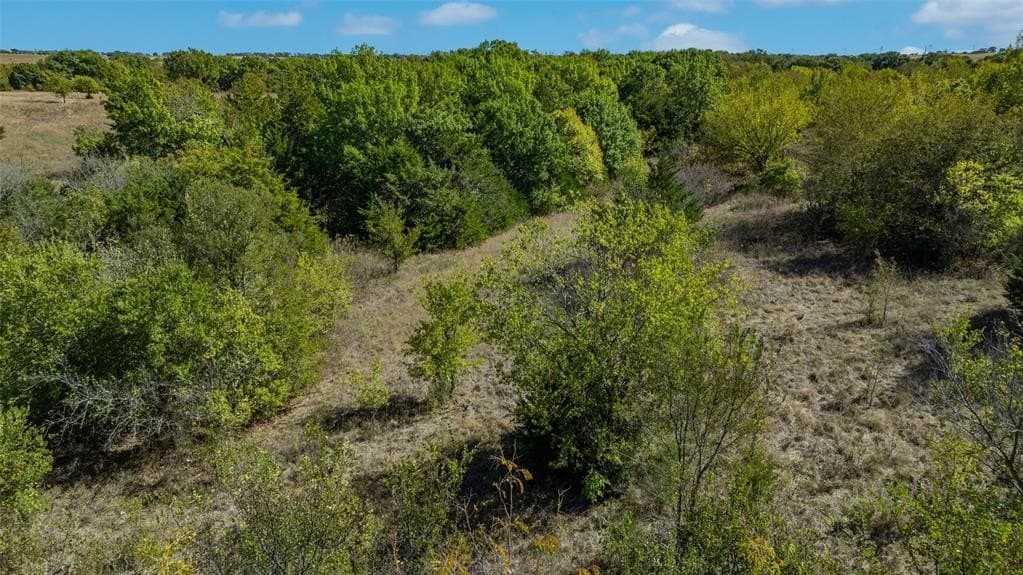 53.93 acres in Cooke County - photo 21