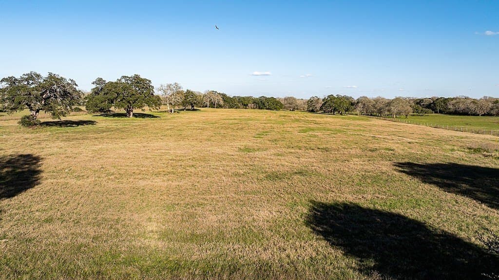 18.67 acres in Lavaca County - photo 5