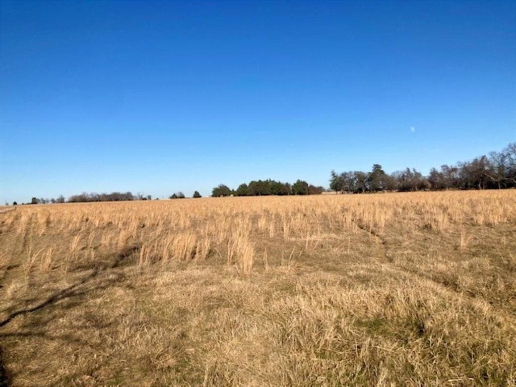 22 acres in Grayson County - photo 23