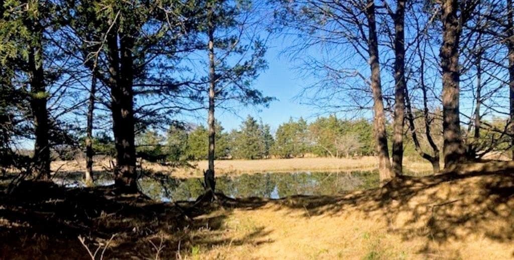 22 acres in Grayson County - photo 4