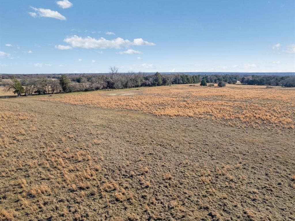 22 acres in Grayson County - photo 30