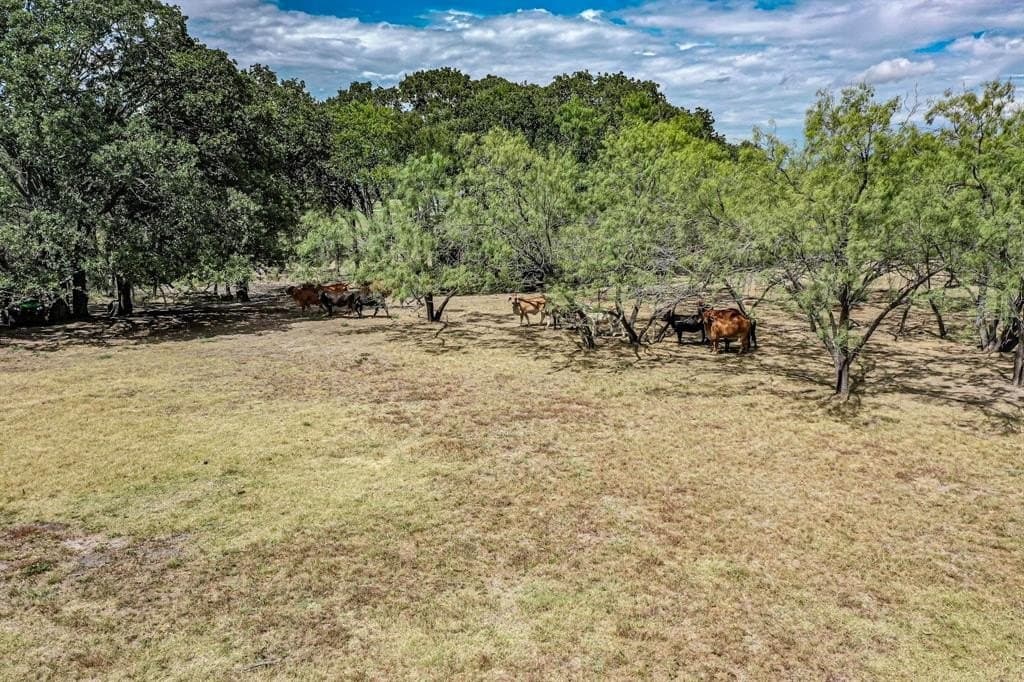 22.35 acres in Navarro County - photo 11