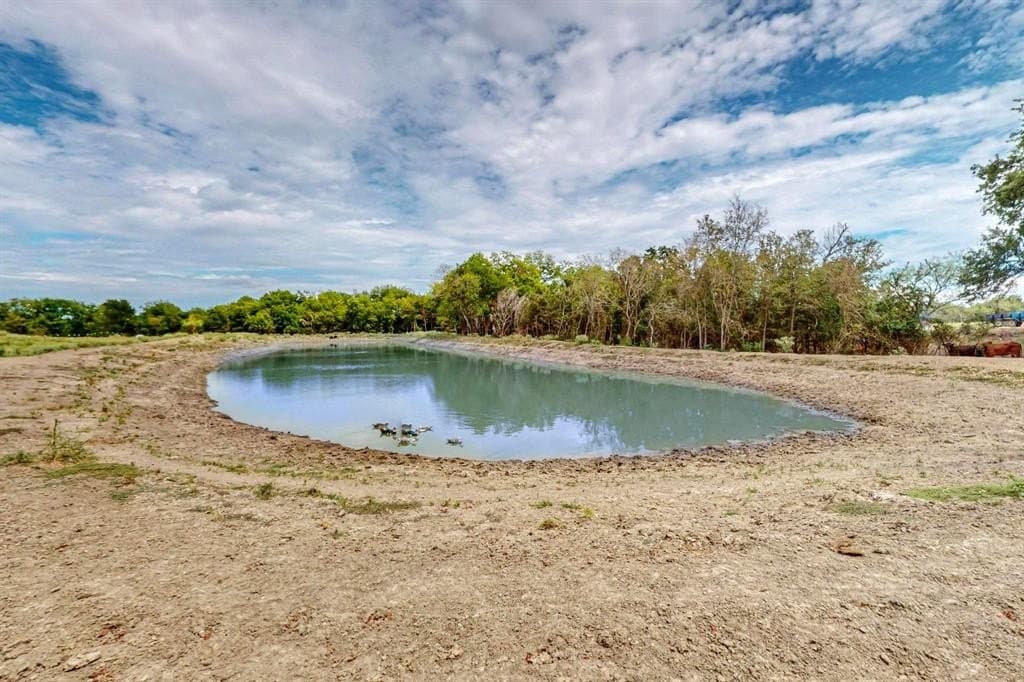 22.35 acres in Navarro County - photo 14