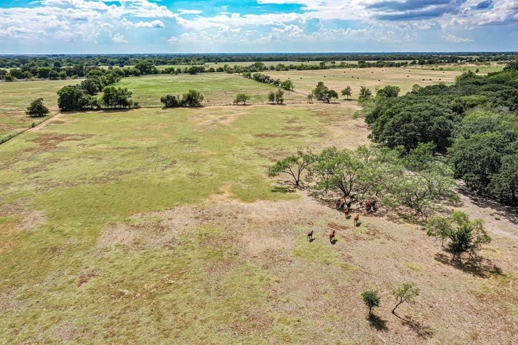 22.35 acres in Navarro County - photo 9