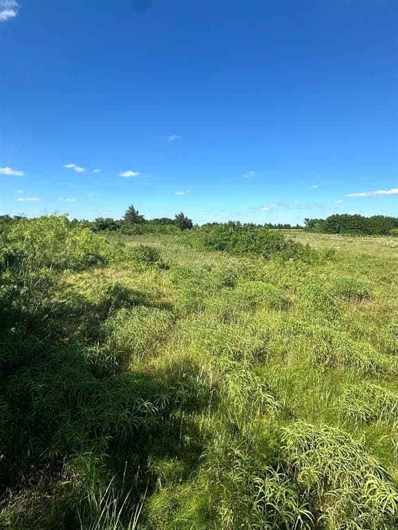 10 acres in Cooke County - photo 5