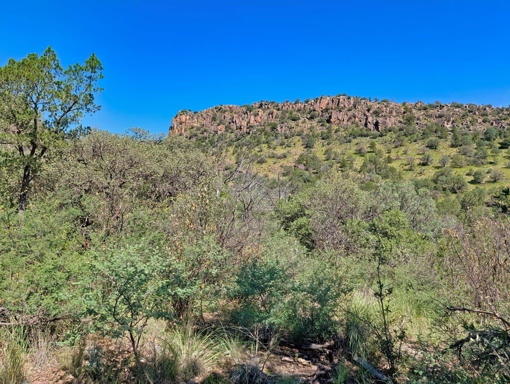 10.5 acres in Jeff Davis County - photo 13