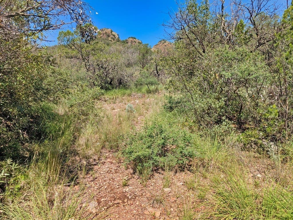 10.5 acres in Jeff Davis County - photo 19