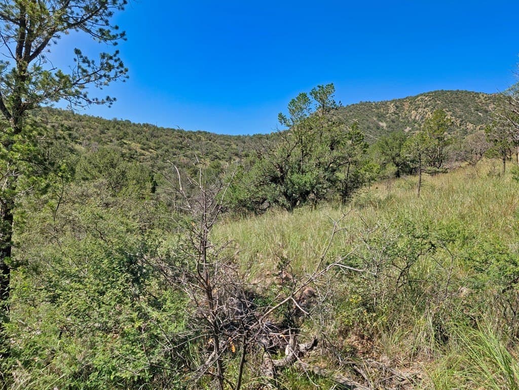 10.5 acres in Jeff Davis County - photo 5