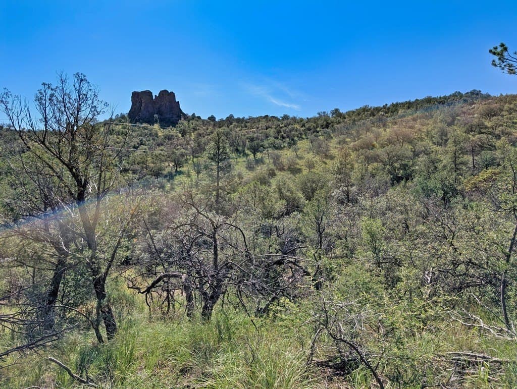 10.5 acres in Jeff Davis County - photo 12