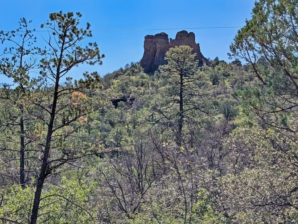 10.5 acres in Jeff Davis County - photo 4