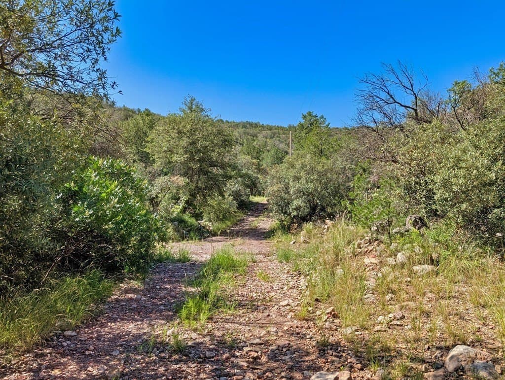 10.5 acres in Jeff Davis County - photo 21