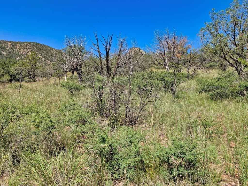 10.5 acres in Jeff Davis County - photo 18
